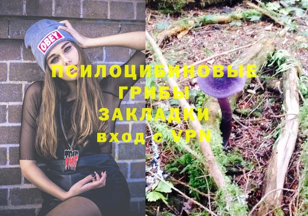 мет Верхний Тагил
