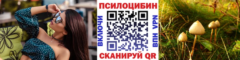 Галлюциногенные грибы Psilocybine cubensis  как найти закладки  Карталы 
